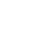 Icon White Transparant